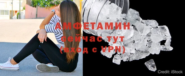 винт Липки