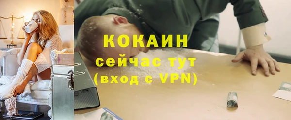 винт Липки