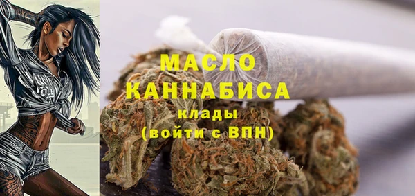 винт Липки