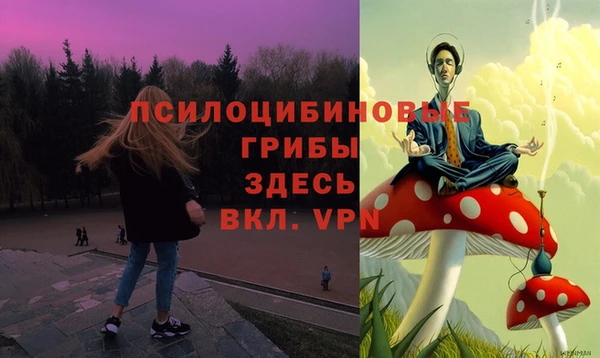 прущая мука Лиски