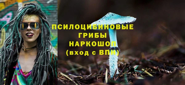 мяу мяу мука Магас