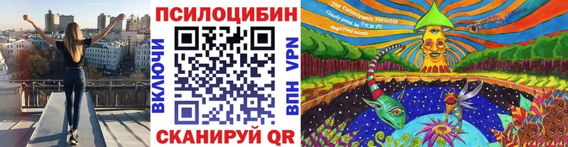 Псилоцибиновые грибы мухоморы  купить наркоту  Старый Крым 