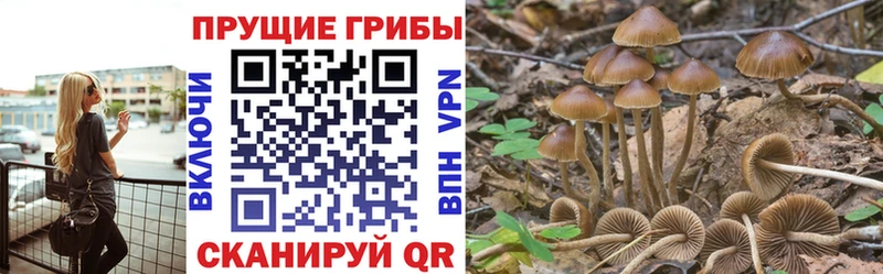 Псилоцибиновые грибы ЛСД Старый Крым